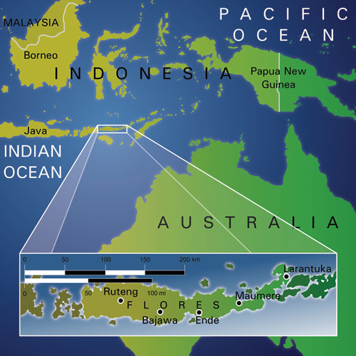 map_flores_image01